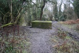 The north side of the Welsh Bicknor pill box (03-01-2011)