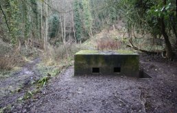 The south side of the Welsh Bicknor pill box (03-01-2011)