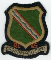 Ross County Secondary School badge (9-3-06)