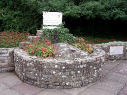 The RNIB wishing well