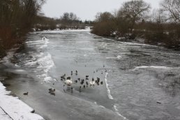 The ice on the Wye seen from outside the Hope & Anchor