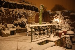 The garden in the snow