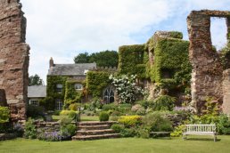 View of Wilton Castle (11-06-11)